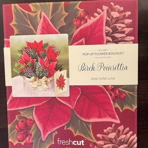 Freshcut Birch Poinsettia Pop-Up Flower Bouquet